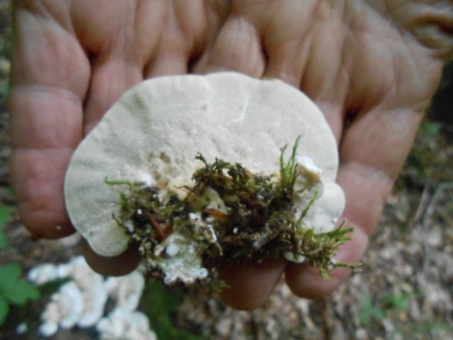 2013_07_26 5 fileminimizer